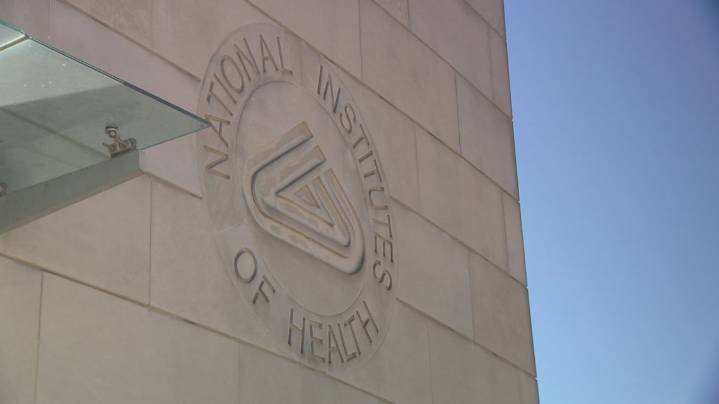 'It was my duty to speak up' |  Former NIH scientist speaks out after being placed on leave