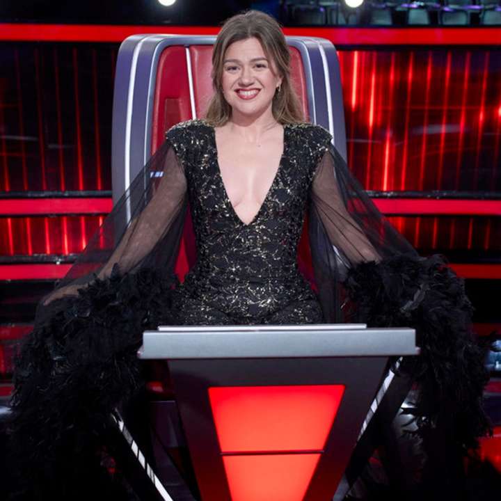  The Voice Season 29's Premiere Date, Show Format Revealed