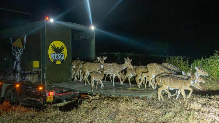 Sahyadri Tiger Reserve, RESQ Trust join hands to strengthen wildlife operations