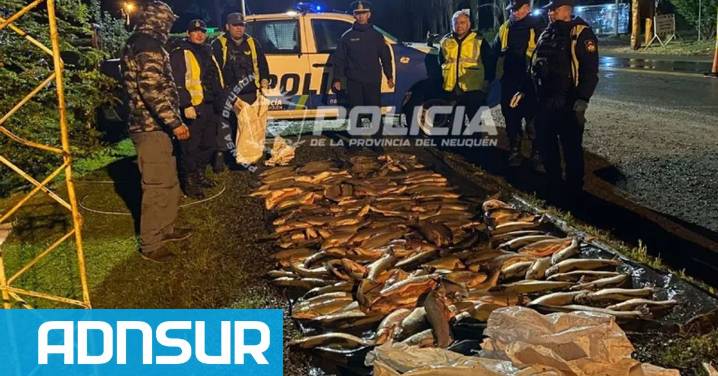 18:35 Ruta 40: un operativo terminó con 170 truchas secuestradas por pesca ilegal