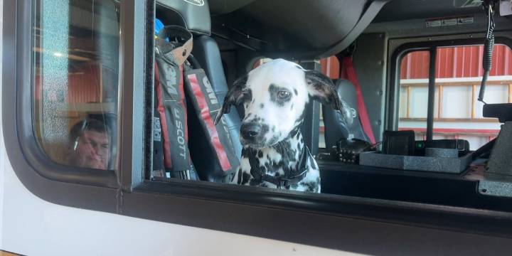 ‘Ruby to the Rescue’: Wiggins Fire Department introduces newest four