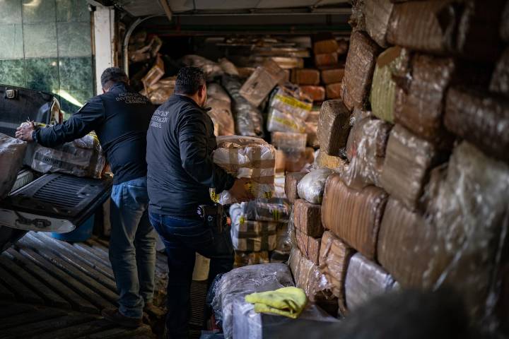 ¿Por qué persiste el crimen organizado en América Latina?