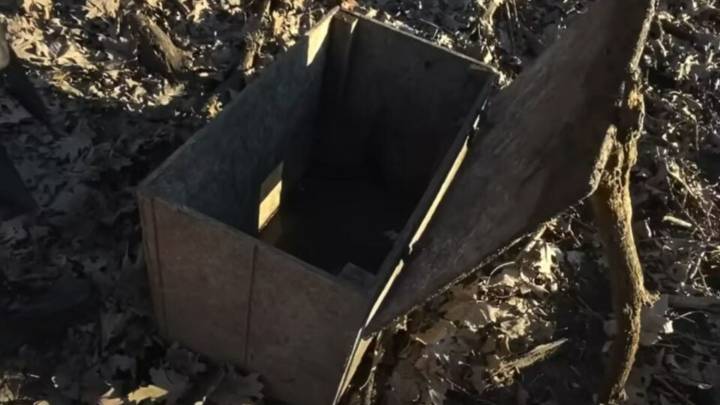 Missouri Lake Trip Turns Into Wildlife Rescue After Kayakers Spot Odd Box In Mud