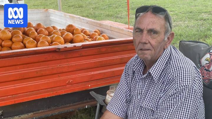 Bundaberg council takes roadside produce seller to court twice