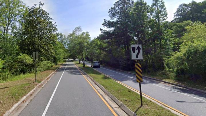 Cobb County to remove, replace trees posing 'danger' along Columns Drive