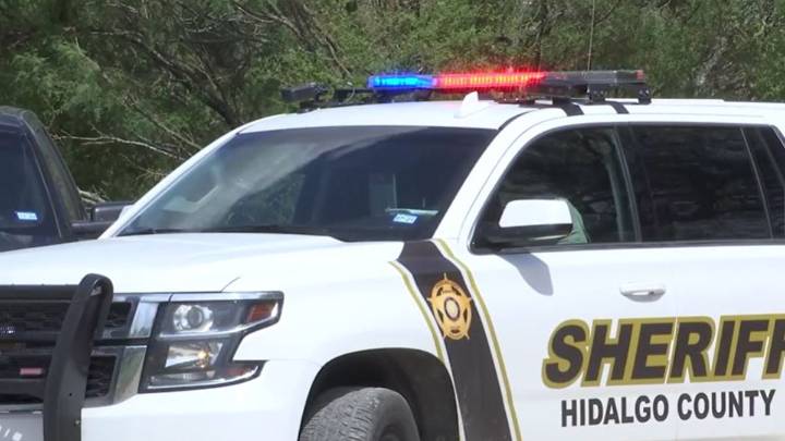 Hallan seis perros muertos y retiran a otros 42 de una propiedad en Mission