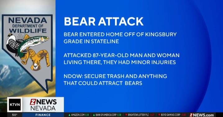 Man and woman suffer minor injuries in bear attack at Stateline home