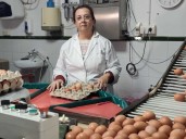 Las granjas, pendientes de la evolución de la gripe aviar