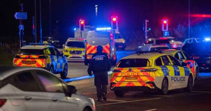 AI chatbot claims faked photo of Huntingdon train attack victim is 'genuine'