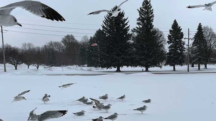 Snow is in Erie's forecast. When it it coming, and how much may fall?