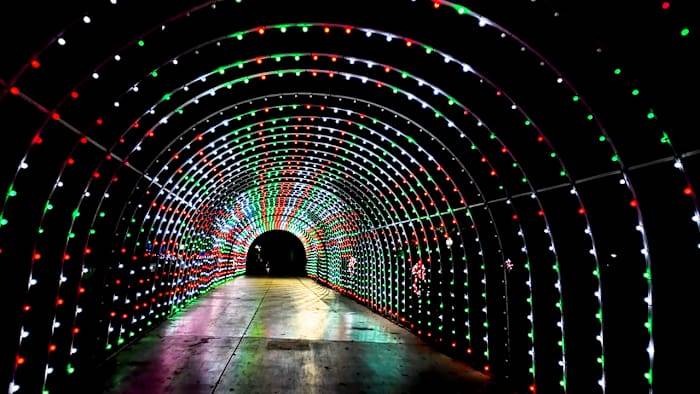 ✨ Things to do this weekend: Ford Holiday River Parade, Locals Day at San Antonio Zoo, Coca