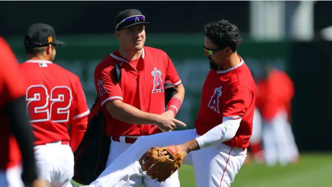 Blue Jays Veteran Left Dejected as Angels Force $245M Star Towards Early Retirement