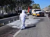 Abejas generan pánico en carretera; ‘circulen con vidrios abajo para evitar picaduras’