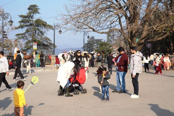 Cold wave to intensify in Himachal; temperatures to drop by 4°C