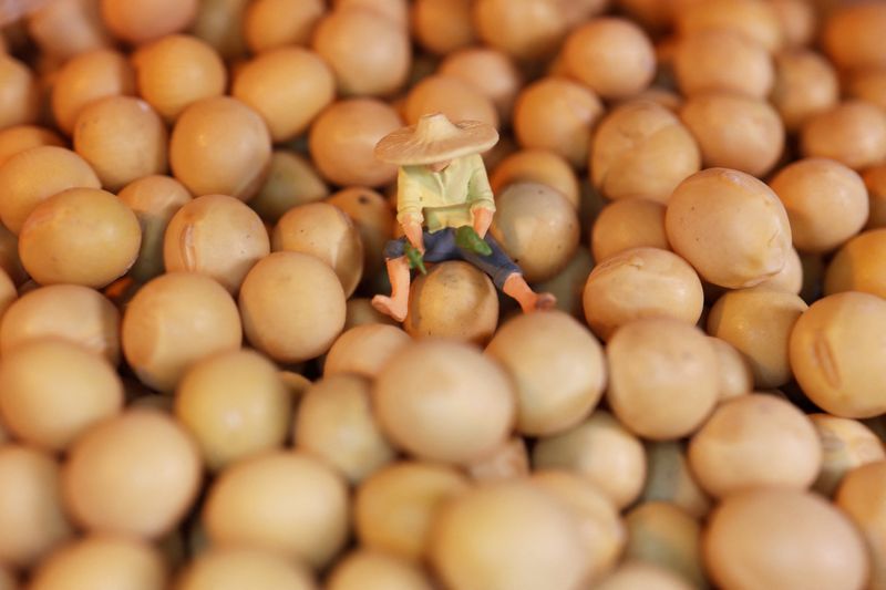 China restores soybean licenses for U.S. firms, ends log ban