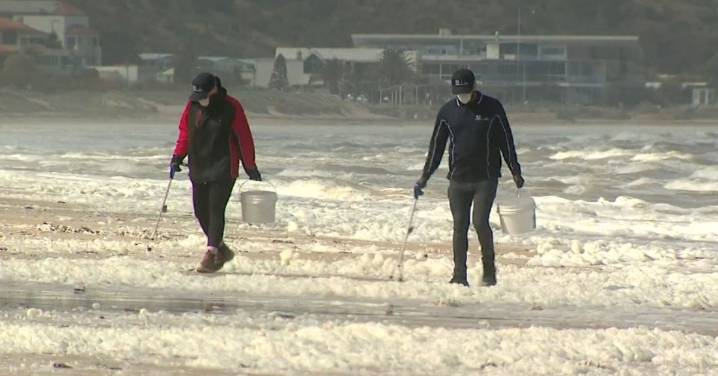 No change in health advice for SA after algal bloom discovery