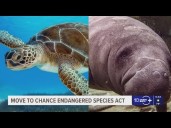 President Trump's administration moves to roll back protections in the Endangered Species Act