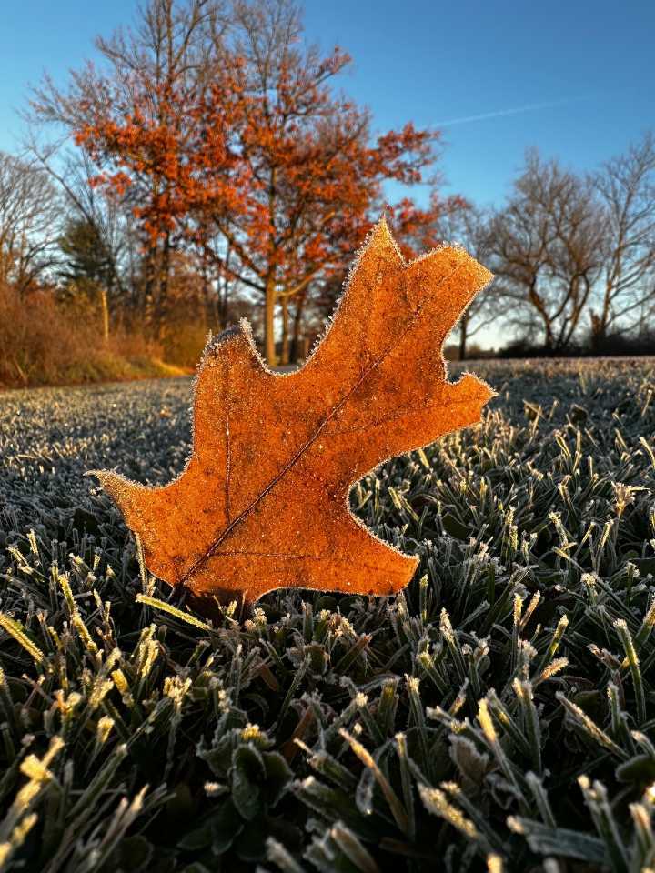 Cool, quiet Saturday gives way to rain, bone-chilling winds on Sunday in Mass.