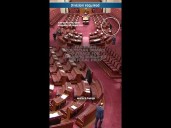 Far-right politician sparks outrage for wearing burqa as political prop