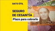 Seguro de Cesantía: ¿Cuánto tiempo hay para cobrarlo?