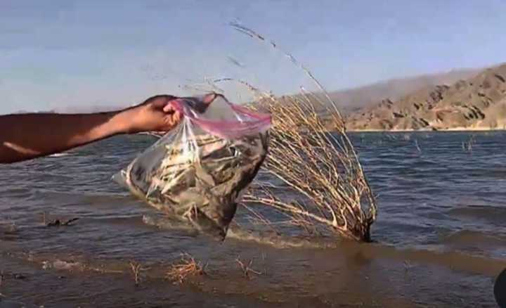 Investigación judicial por derrame en la mina Veladero de la Barrick