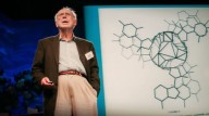 James Watson, co-discoverer of the double-helix shape of DNA, dies at 97
