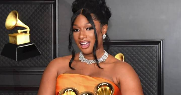 Megan Thee Stallion testifies against blogger during defamation trial 