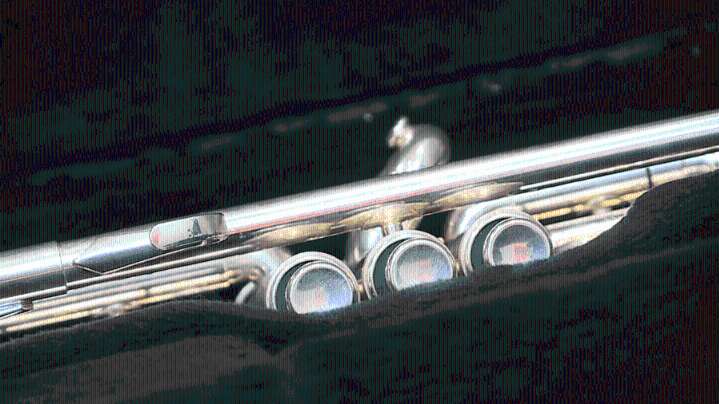 Evansville school wins state marching band finals