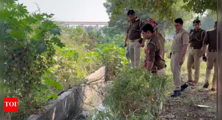 Noida horror: Woman’s headless body with severed hands found floating in drain near Sector 82