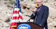 Trump BLM pick’s calls to sell off public land, expand drilling and mines, alarms environmentalists