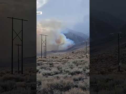 Smoke Billows Into Sky From California's Pack Fire, Scorching More Than 3,000 Acres #shorts