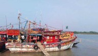 19 Fishermen Arrested For Illegal Fishing In Gahiramatha Marine Sanctuary