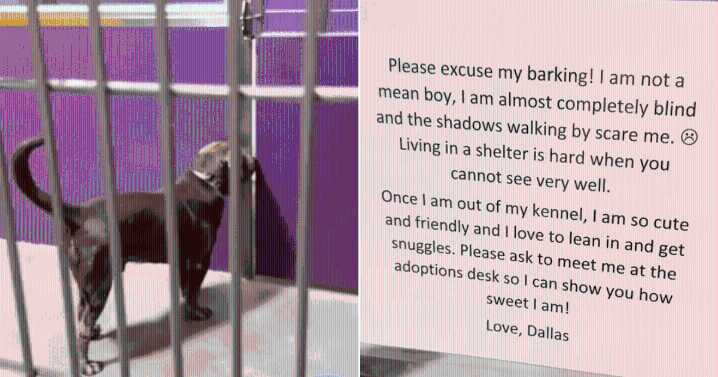 Woman Visits Shelter, But Note Found On Door Breaks Her Heart