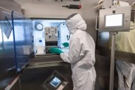 Novartis y su “increíble” avance contra el cáncer