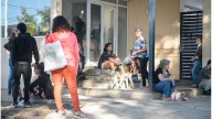 La Municipalidad de Paraná continuará con los operativos de salud animal