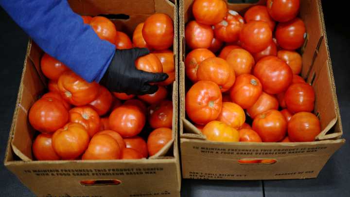 SNAP payments: Michigan orders full benefits resumed