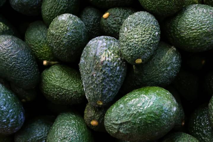 ¿Quieres cultivar un árbol de aguacate desde la semilla? Aquí te explicamos cómo