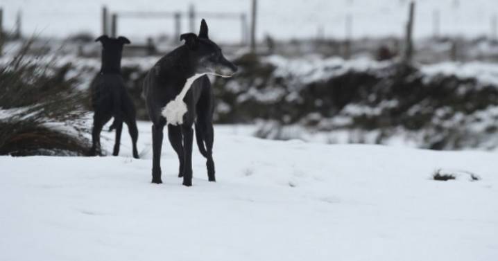Met Office warns UK households to keep six items on them on Wednesday and Thursday
