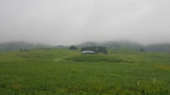 Ingresa Frente Frío Número 13 a Chihuahua; Alertan por Bajas Temperaturas