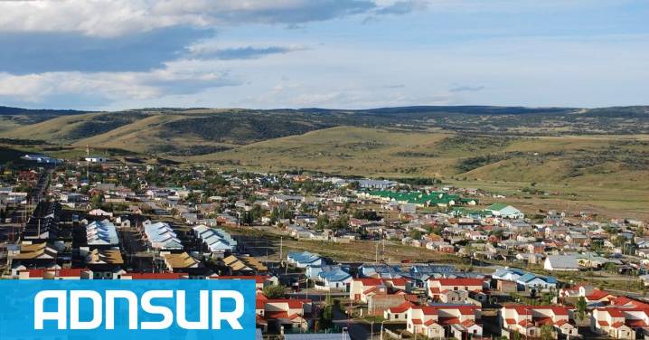 Rescataron a un joven cóndor andino intoxicado en la Cuenca Carbonífera de Santa Cruz