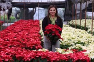 CDMX inicia temporada de nochebuena con producción histórica de 1.8 millones de plantas