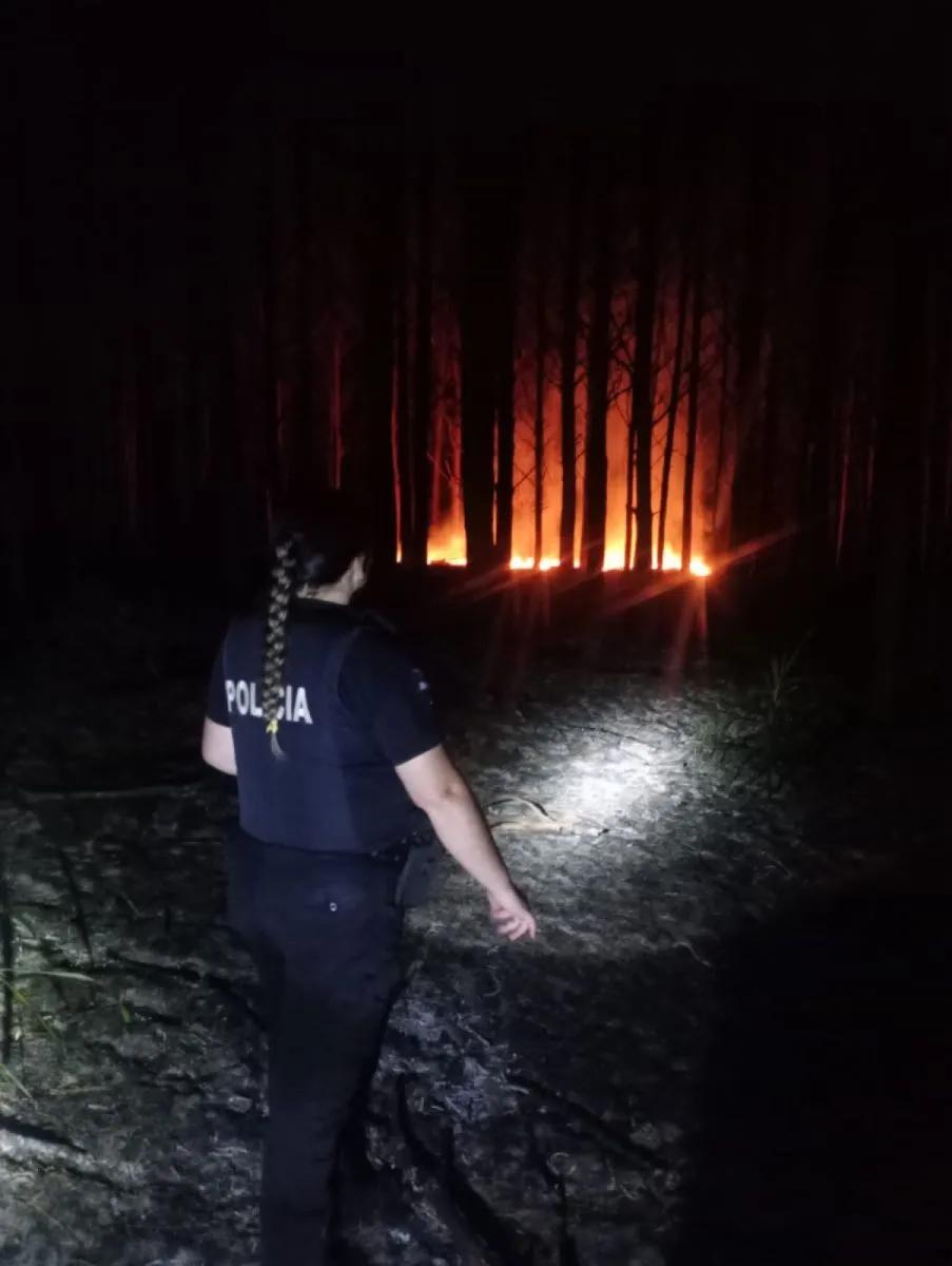 Controlaron un incendio que afectó un pinar y yerbal en Corpus Christi