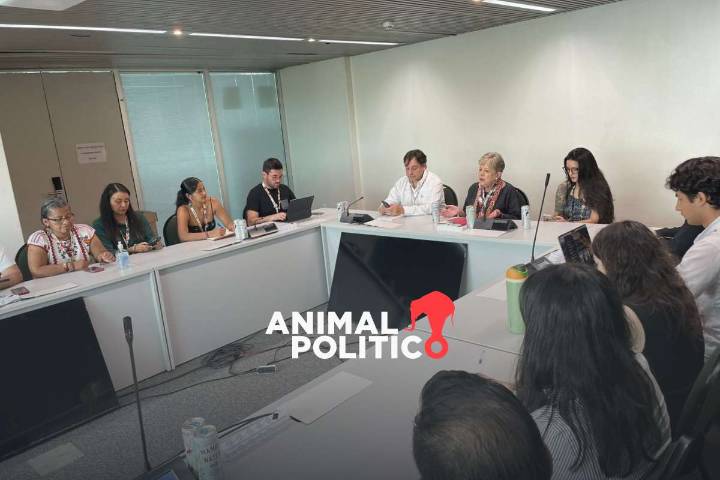 México alista "con urgencia" política nacional de adaptación climática tras Contribución en COP 30