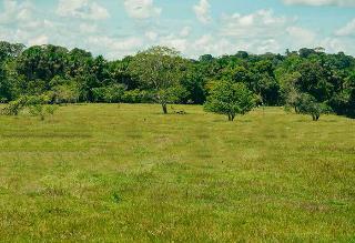 Unidad de Restitución de Tierras anuncia nueva opción de compensación para víctimas que viven en el exterior