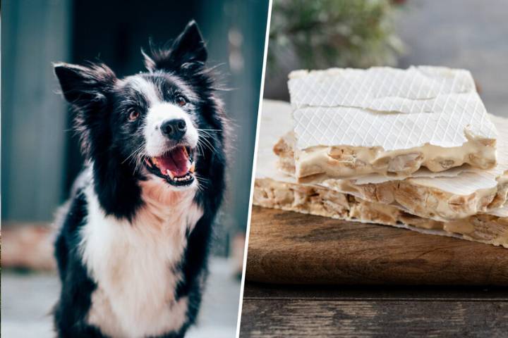 Tras el turrón de patata frita o de "pisada lunar", llega la única conclusión posible de la industria: turrón para perros