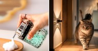 60 Cool Things Under $30 That Make Your Home Way Bougier