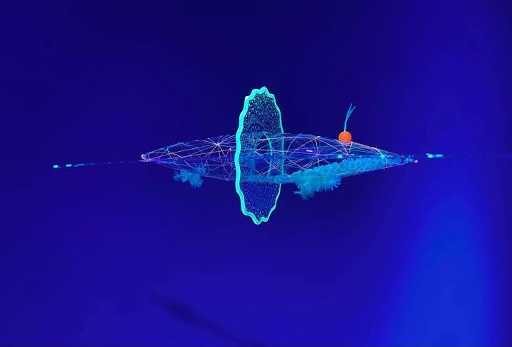 Arts Connection Foundation se despide con la exposición Particular Perspectives