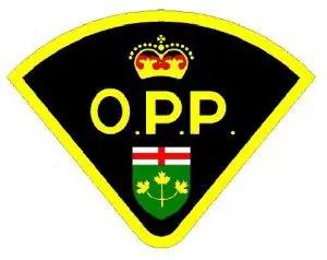 OPP Deploy Spike Belt, Charge Georgian Bluffs Man In Alleged Vehicle Theft