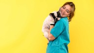 Cursos auxiliar veterinaria: formación homologada para impulsar tu vocación