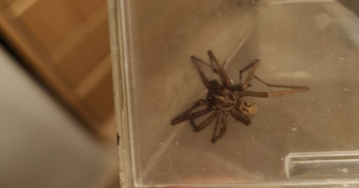 East Lothian woman 'thought she stood on a stone' before being told 'go to hospital'